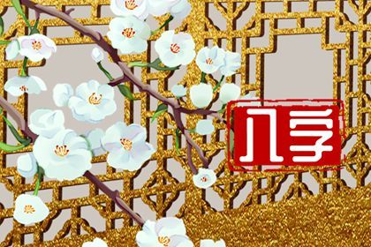 排盘报告的层次