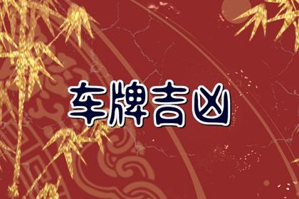 为何不能预测运气