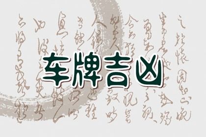 网页版与APP版差异