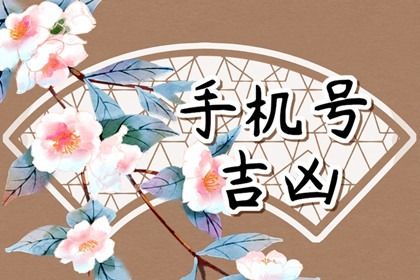 号码与人的关系