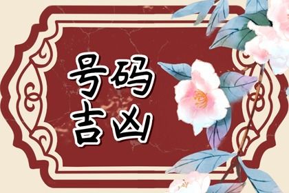 工具的局限在哪里
