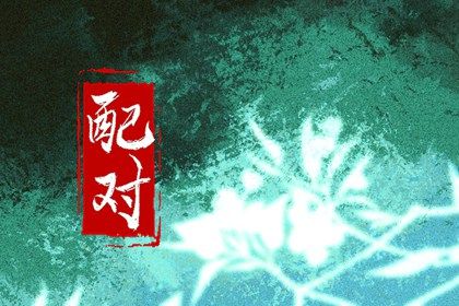 日支六合子丑合的日常