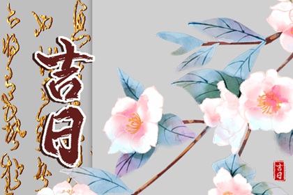 如何看本月最佳日