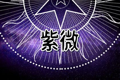 四象各有几宿