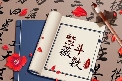 财帛宫看什么